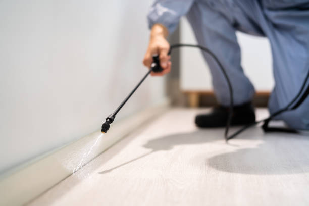 Bed Bug Pre-Treatment Preparation Assessment in St. Clair