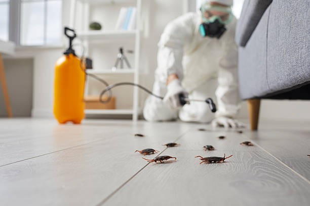 Post-Treatment Bed Bug Interceptor Monitoring in St. Clair