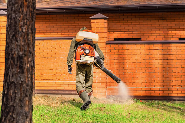 Bed Bug Clearance Verification and Documentation in St. Clair